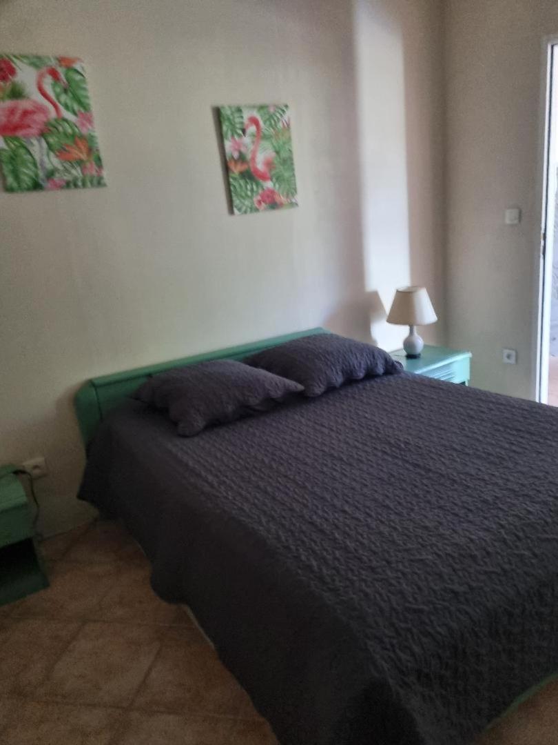 Les Conils - Gites Et Chambres D'Hotes Saint-Pierre-de-Vassols Bagian luar foto